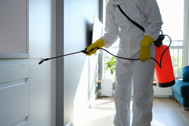 Best DIY Mold Remediation Support Services in La Crescent, MN